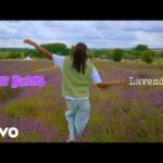 Lavender – Cat Burns Lyrics