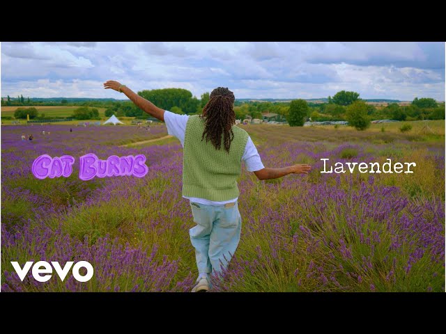 Lavender – Cat Burns Lyrics